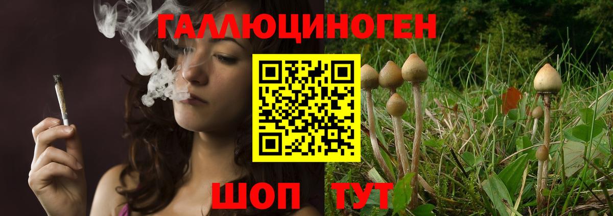 Карталы  Галлюциногенные грибы мухоморы  Вход с VPN 